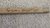 1990's Team 30+ Players Signed Detroit Red Wings Hockey Stick with COA
