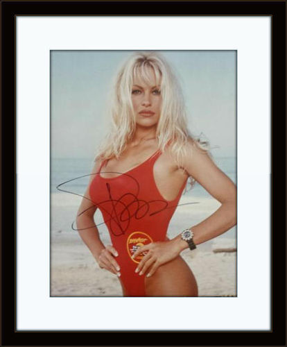 Framed Pamela Anderson Photo Autograph with COA