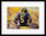 Jabril Peppers Michigan Autograph with COA